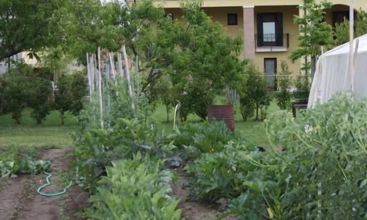 Zero Branco Bed & Breakfast | Ca' Florian