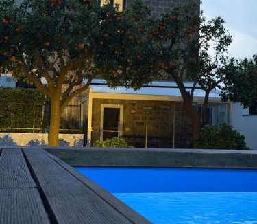 Meta Villa | Villa Spring