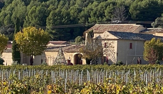 Merlot
