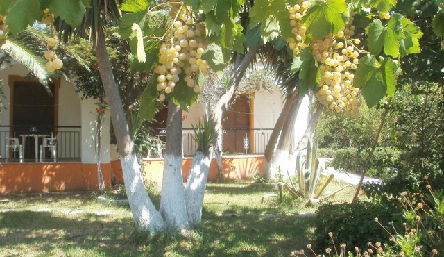 Studios Dimitris in Punta