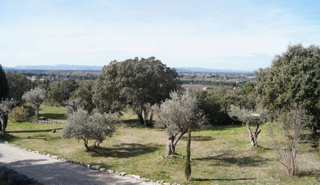 The luberon: opposite the swimming pool