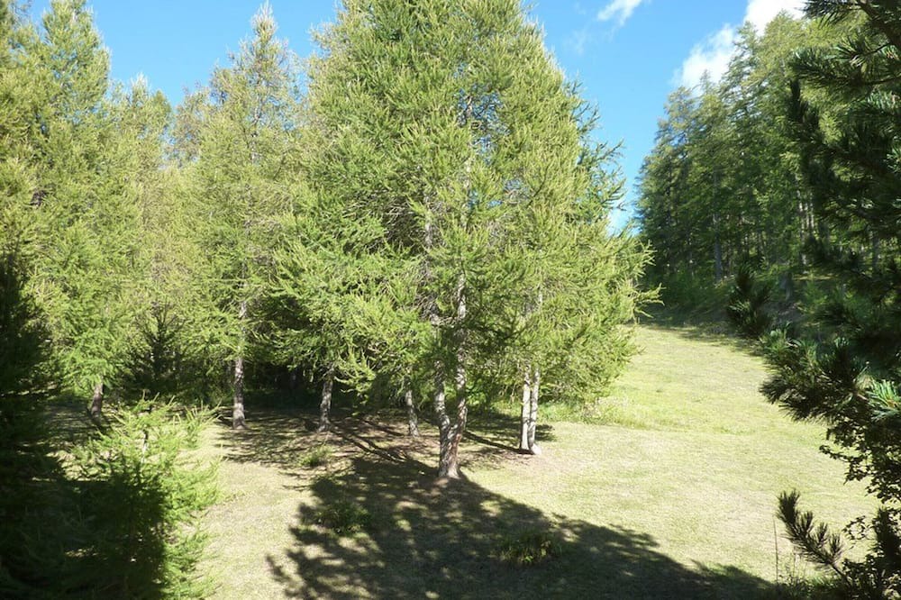 Photo of Outdoor in Les Orres