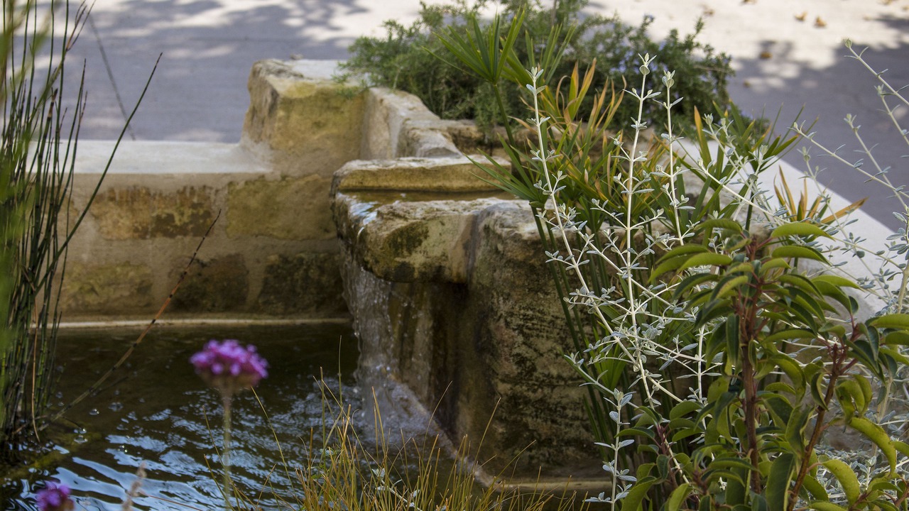 Photo of Outdoor in St.-Remy-de-Provence