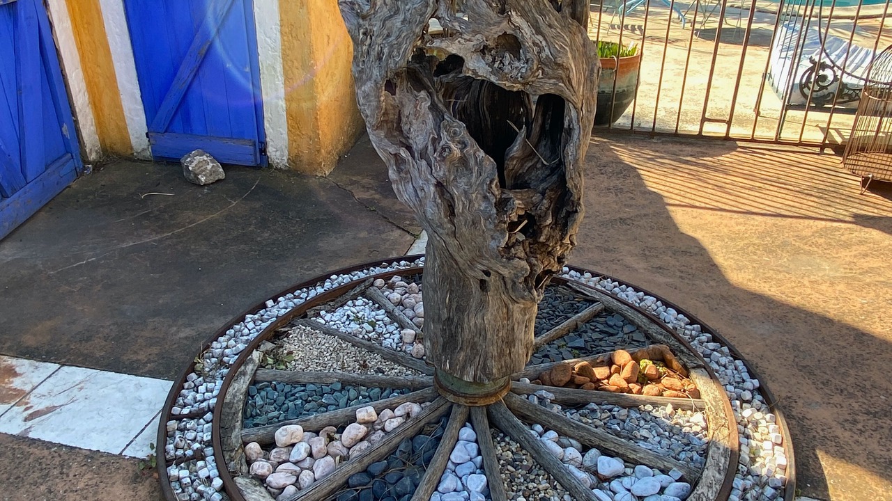 Photo of Outdoor in Arles