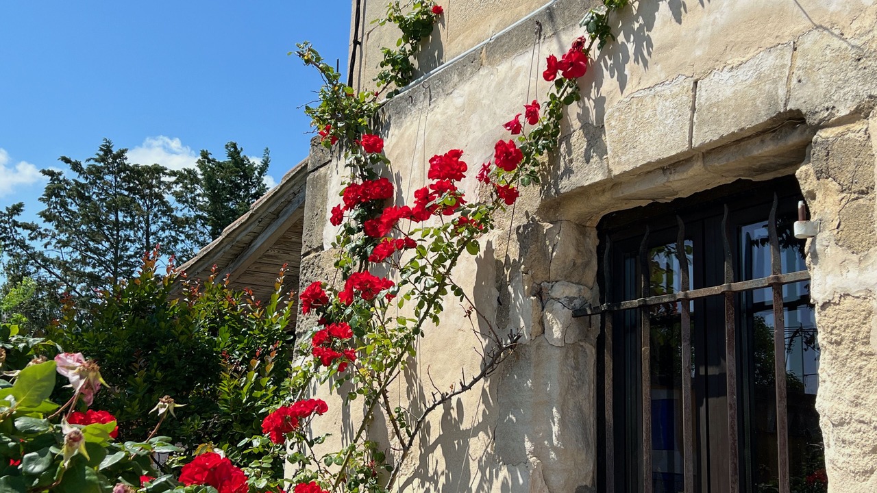 Photo of Outdoor in Arles