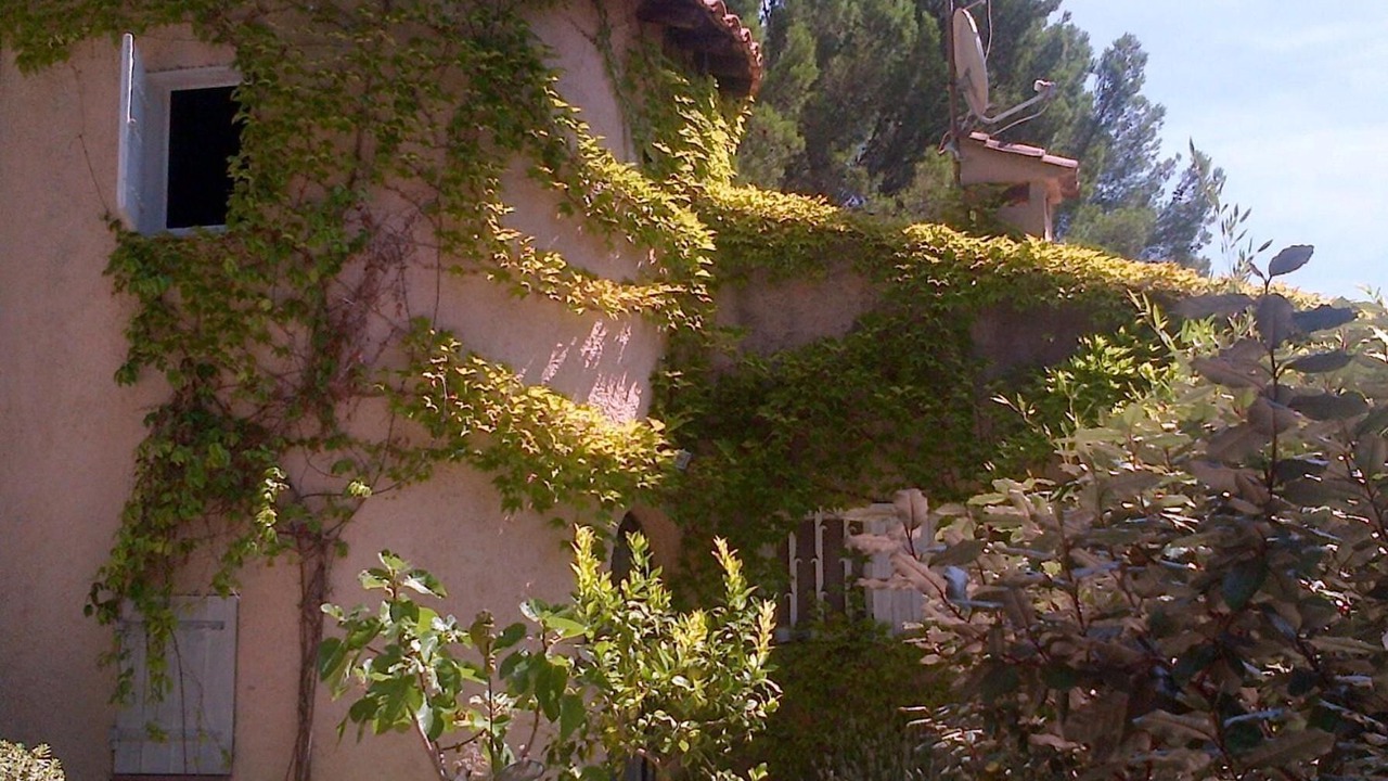 Photo of Outdoor in Mouries