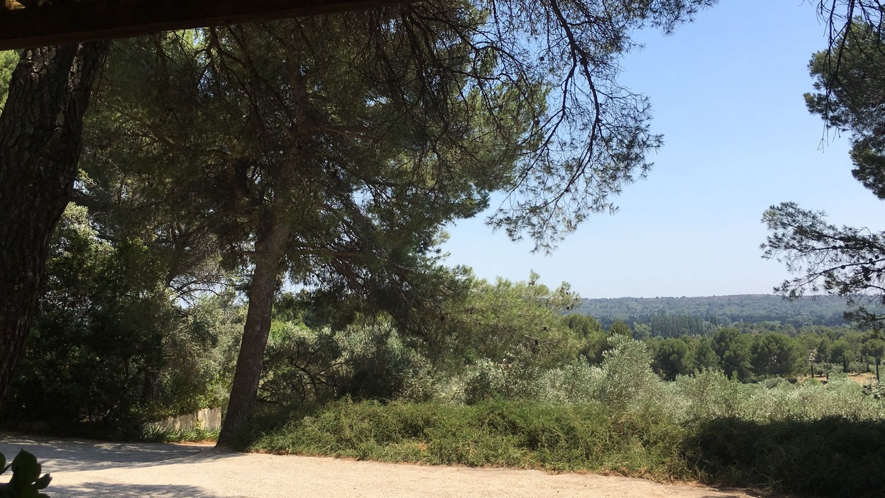 Photo of Outdoor in Mouries