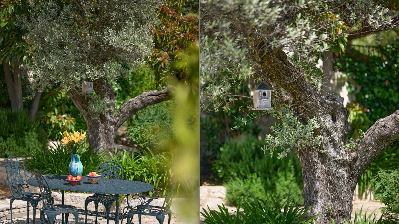Photo of Outdoor in Saint-Paul-de-Vence